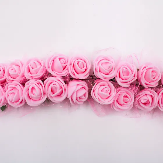 Rosa Bebe