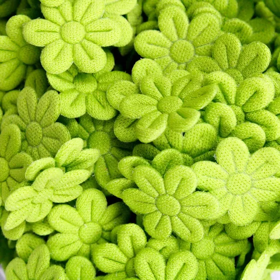 Verde Oliva