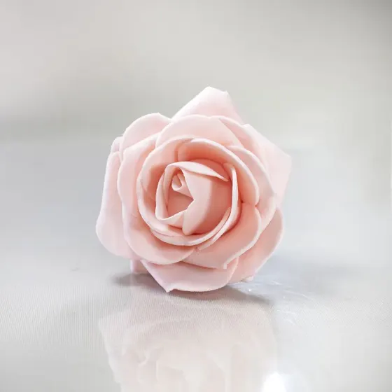 Rosa Bebe