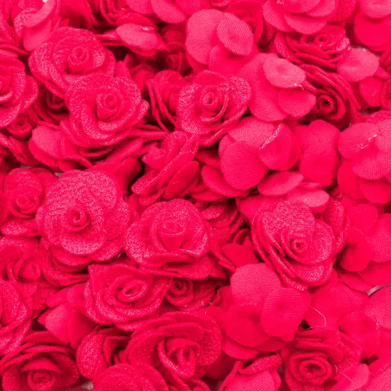 Rosa Pink