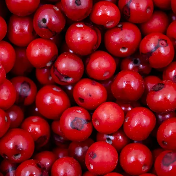 Vermelho