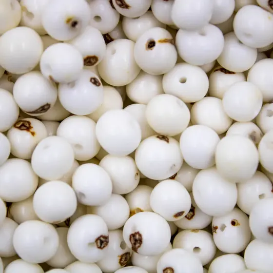 Semente De Acai Passante Com 1.000 Pecas
