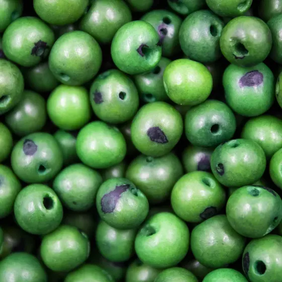 Verde Bandeira