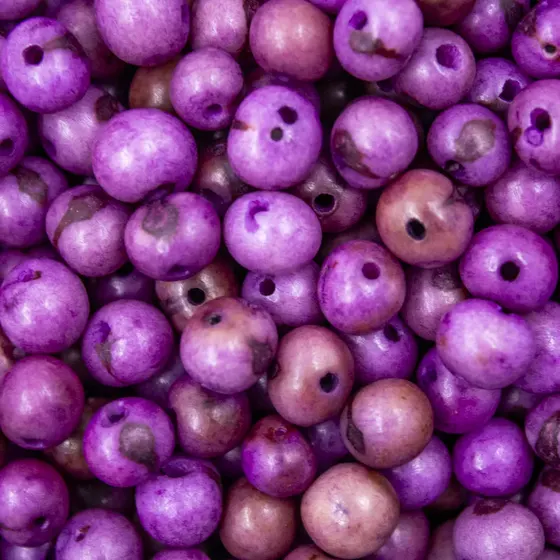 Lilas