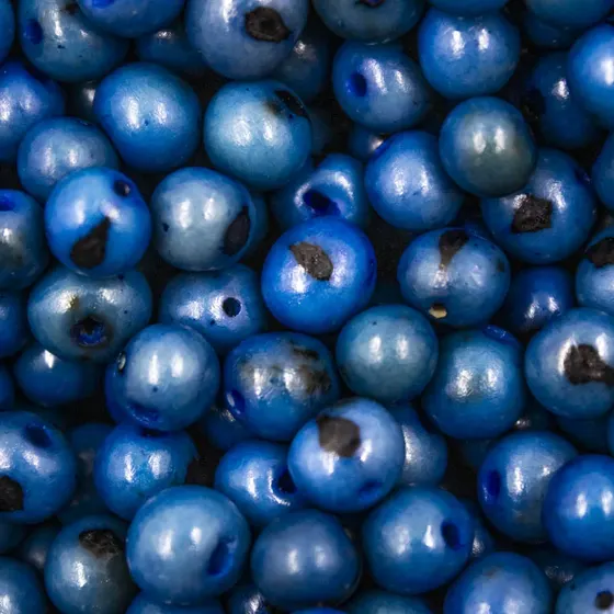 Azul Royal