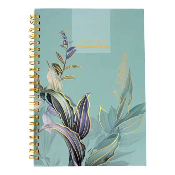 Caderno Capa Dura Universitario Natus Com 100 Folhas