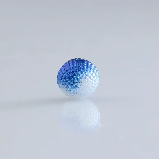 Azul Royal C/ Perola
