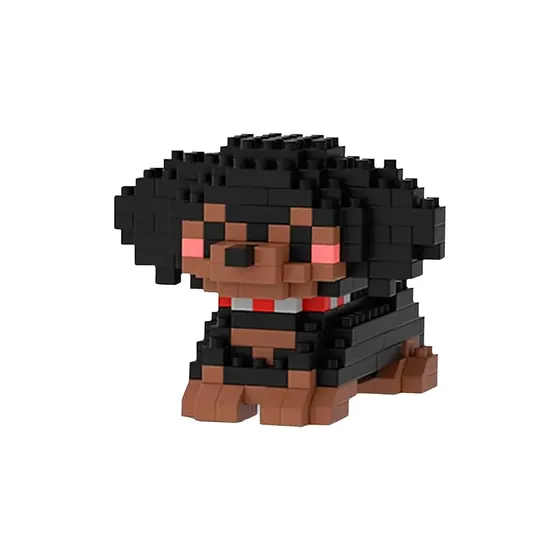Cachorro