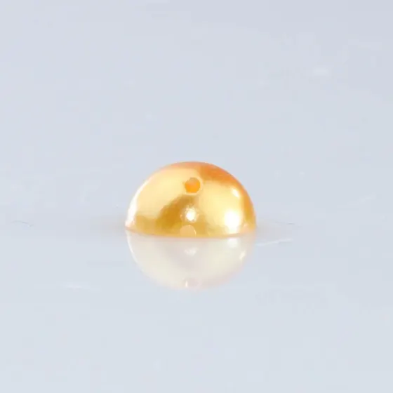 Dourado