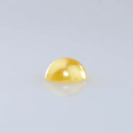 Dourado